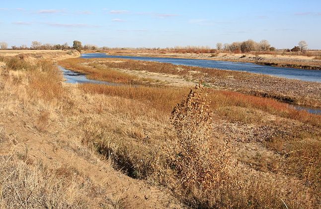 Юбилейный вечер «Дунаевские. Двойной портрет»